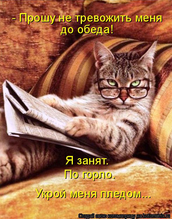- Прошу не тревожить меня до обеда! Я занят. По горло. Укрой меня пледом...... Котоматрица: - Прошу не тревожить меня до обеда! Я занят. По горло. Укрой меня пледом...
