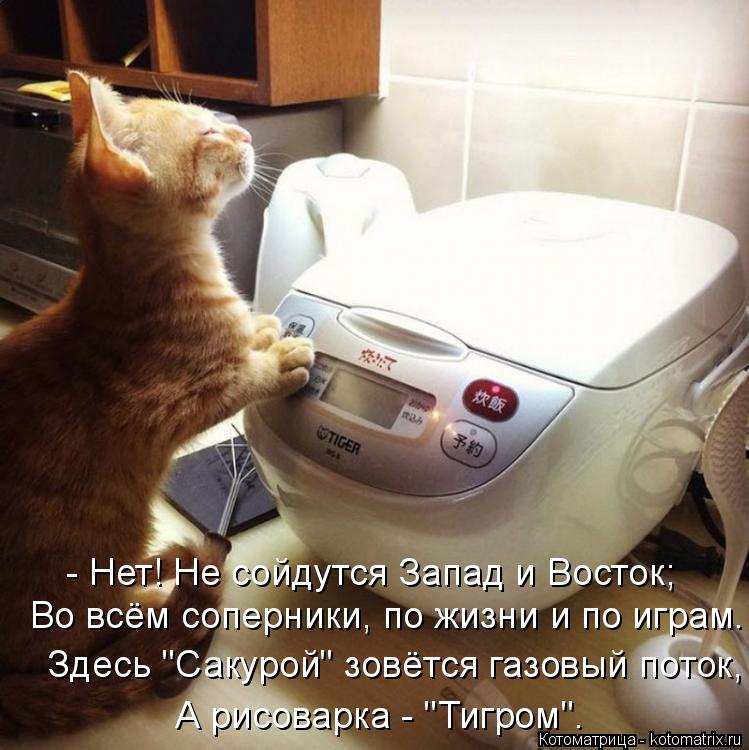 Во всём соперники, по жизни и по играм. Здесь "Сакурой" зовётся газовый поток, А рисоварка - "Тигром"... Котоматрица: Во всём соперники, по жизни и по играм. Здесь "Сакурой" зовётся газовый поток, А рисоварка - "Тигром". - Нет! Не сойдутся Запад и Восток;