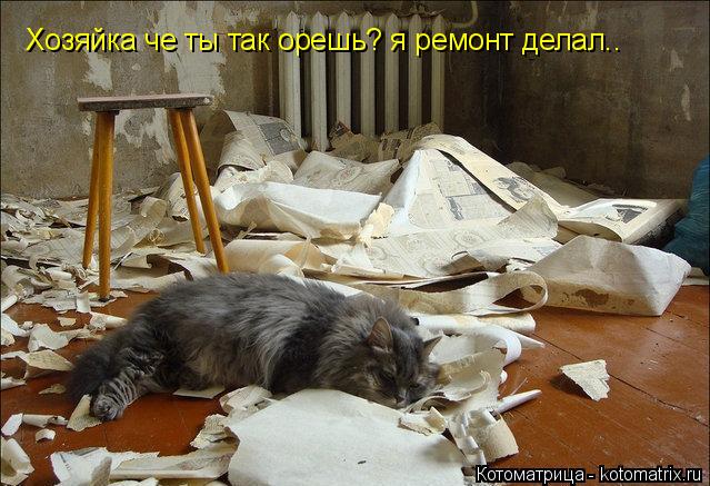 Хозяйка че ты так орешь? я ремонт делал..... Котоматрица: Хозяйка че ты так орешь? я ремонт делал..