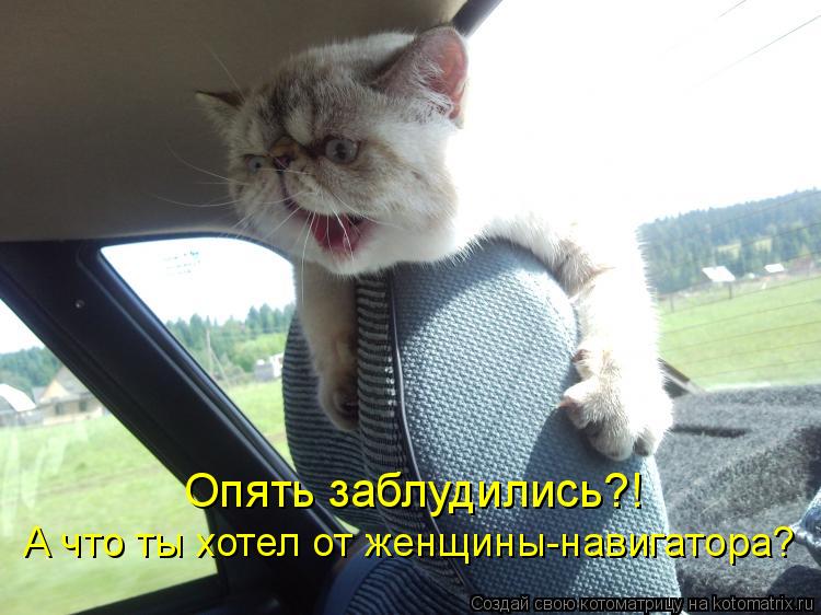 Опять заблудились?! А что ты хотел от женщины-навигатора?... Котоматрица: Опять заблудились?! А что ты хотел от женщины-навигатора?