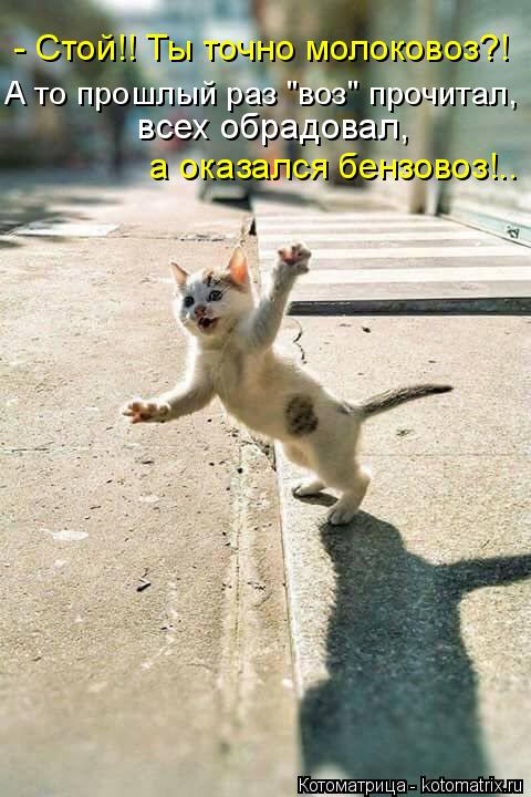 всех обрадовал, а оказался бензовоз!.. - Стой!! Ты точно молоковоз?! А то прошлый раз "воз" прочита... Котоматрица: всех обрадовал, а оказался бензовоз!.. - Стой!! Ты точно молоковоз?! А то прошлый раз "воз" прочитал,