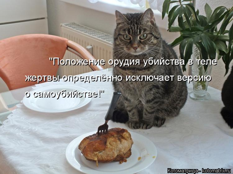 "Положение орудия убийства в теле жертвы определённо исключает версию о самоубийстве!"... Котоматрица: "Положение орудия убийства в теле жертвы определённо исключает версию о самоубийстве!"