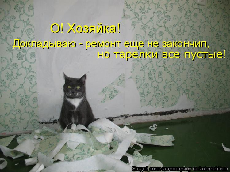 Докладываю - ремонт еще не закончил, но тарелки все пустые! О! Хозяйка!... Котоматрица: Докладываю - ремонт еще не закончил, но тарелки все пустые! О! Хозяйка!