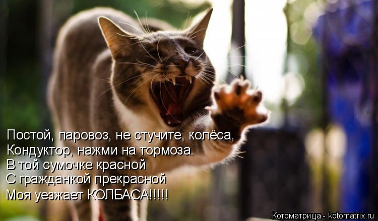 Постой, паровоз, не стучите, колёса, Кондуктор, нажми на тормоза. В той сумочке красной С гражданкой ... Котоматрица: Постой, паровоз, не стучите, колёса, Кондуктор, нажми на тормоза. В той сумочке красной С гражданкой прекрасной Моя уезжает КОЛБАСА!!!!!