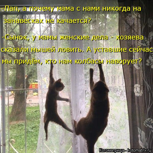 -Пап, а почему мама с нами никогда на занавесках не качается? -Сынок, у мамы женские дела - хозяева ... Котоматрица: -Пап, а почему мама с нами никогда на занавесках не качается? -Сынок, у мамы женские дела - хозяева сказали мышей ловить. А уставшие сейчас мы