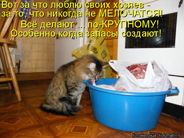 Вот за что люблю своих хозяев - за то, что никогда не МЕЛОЧАТСЯ! Всё делают ... по-КРУПНОМУ! Особенно... Котоматрица: Вот за что люблю своих хозяев - за то, что никогда не МЕЛОЧАТСЯ! Всё делают ... по-КРУПНОМУ! Особенно когда запасы создают!