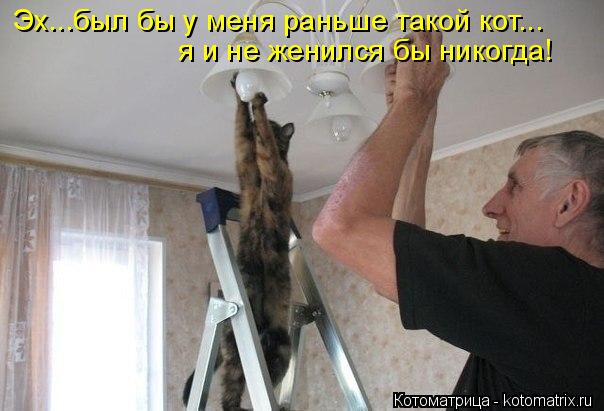 Котоматрица: я и не женился бы никогда!  Эх...был бы у меня раньше такой кот...