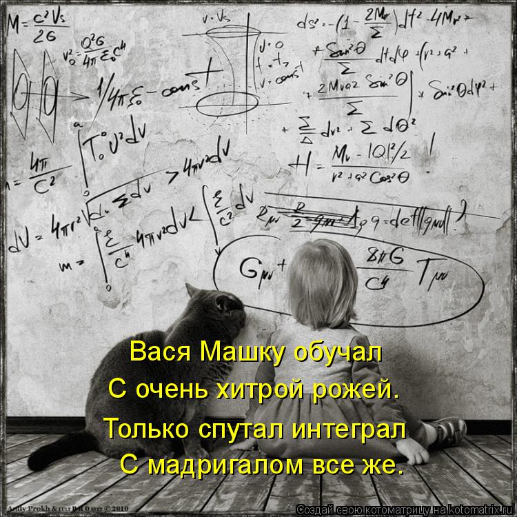 Котоматрица: Вася Машку обучал С очень хитрой рожей. Только спутал интеграл  С мадригалом все же.