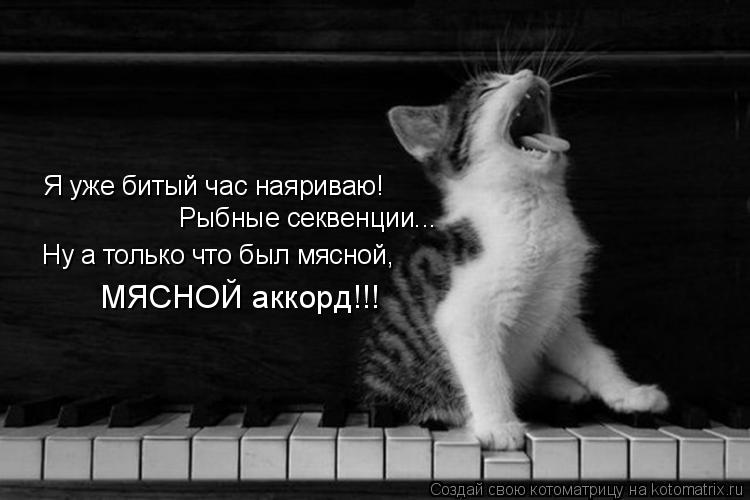 Я уже битый час наяриваю! Рыбные секвенции... Ну а только что был мясной, МЯСНОЙ аккорд!!!... Котоматрица: Я уже битый час наяриваю! Рыбные секвенции... Ну а только что был мясной, МЯСНОЙ аккорд!!!