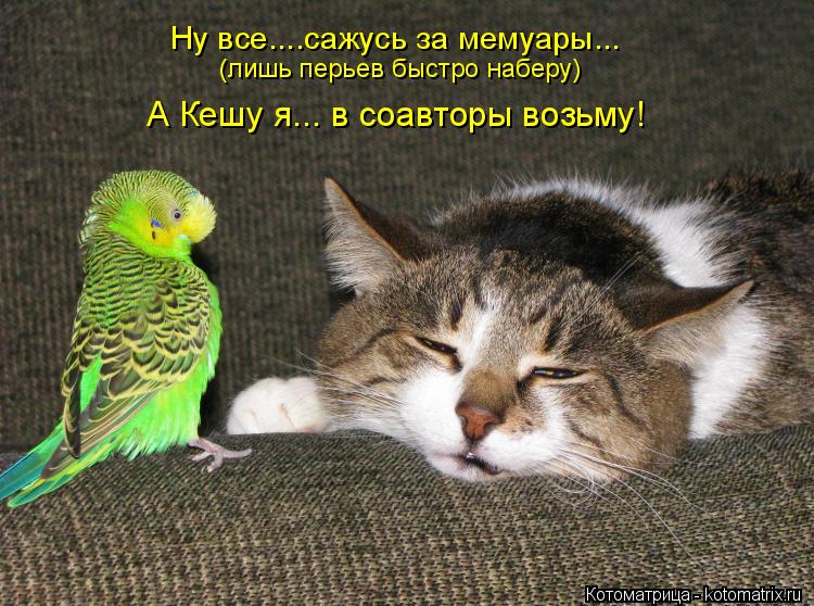 Ну все....сажусь за мемуары... А Кешу я... в соавторы возьму! (лишь перьев быстро наберу)... Котоматрица: Ну все....сажусь за мемуары... А Кешу я... в соавторы возьму! (лишь перьев быстро наберу)
