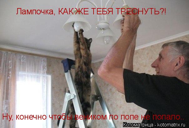 Котоматрица: Лампочка, КАК ЖЕ ТЕБЯ ТРЕСНУТЬ?! Ну, конечно чтобы веником по попе не попало..
