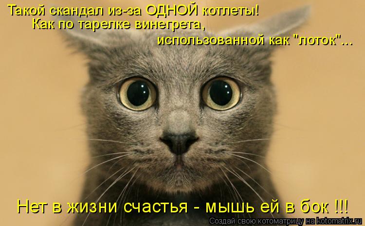 Такой скандал из-за ОДНОЙ котлеты! Как по тарелке винегрета, использованной как "лоток"... Нет в жи... Котоматрица: Такой скандал из-за ОДНОЙ котлеты! Как по тарелке винегрета, использованной как "лоток"... Нет в жизни счастья - мышь ей в бок !!!