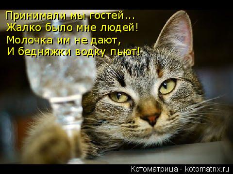 Принимали мы гостей... Жалко было мне людей! Молочка им не дают, И бедняжки водку пьют!... Котоматрица: Принимали мы гостей... Жалко было мне людей! Молочка им не дают, И бедняжки водку пьют!
