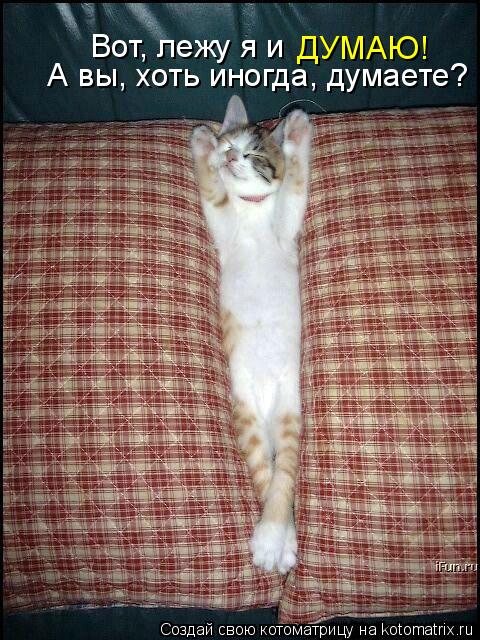 А вы, хоть иногда, думаете? Вот, лежу я и ДУМАЮ!... Котоматрица: А вы, хоть иногда, думаете? Вот, лежу я и ДУМАЮ!