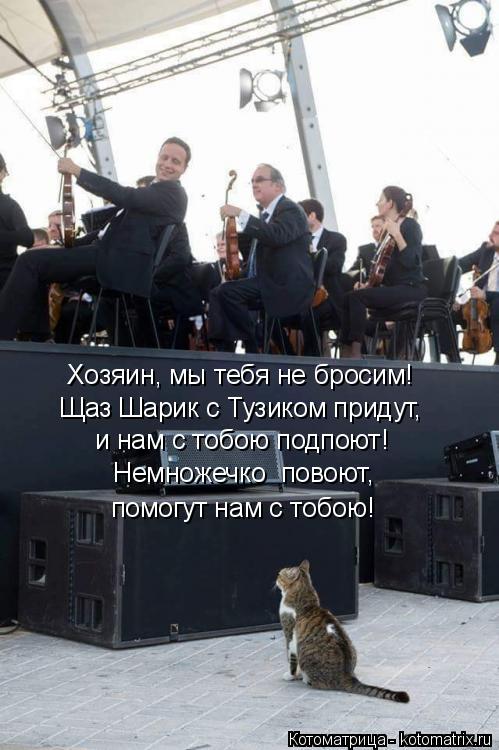 Хозяин, мы тебя не бросим! Щаз Шарик с Тузиком придут, и нам с тобою подпоют! Немножечко повоют, п... Котоматрица: Хозяин, мы тебя не бросим! Щаз Шарик с Тузиком придут, и нам с тобою подпоют! Немножечко повоют, помогут нам с тобою!