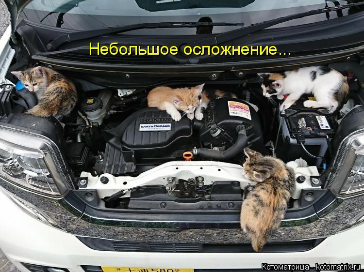 Небольшое осложнение...... Котоматрица: Небольшое осложнение...