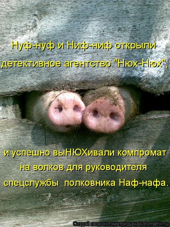 Нуф-нуф и Ниф-ниф открыли детективное агентство "Нюх-Нюх", и успешно выНЮХивали компромат на волков... Котоматрица: Нуф-нуф и Ниф-ниф открыли детективное агентство "Нюх-Нюх", и успешно выНЮХивали компромат на волков для руководителя спецслужбы полковник