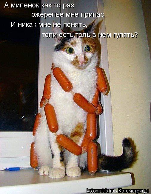 И никак мне не понять, толи есть,толь в нем гулять? А миленок как то раз ожерелье мне припас.... Котоматрица: И никак мне не понять, толи есть,толь в нем гулять? А миленок как то раз ожерелье мне припас.
