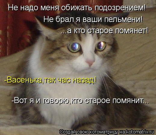 Не надо меня обижать подозрением! Не брал я ваши пельмени! ...а кто старое помянет! -Васенька,так час... Котоматрица: Не надо меня обижать подозрением! Не брал я ваши пельмени! ...а кто старое помянет! -Васенька,так час назад! -Вот я и говорю,кто старое помянит..