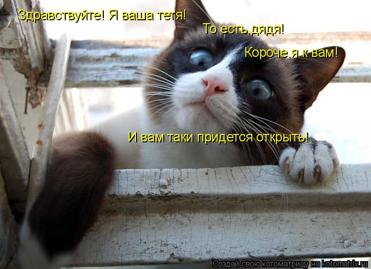 Здравствуйте! Я ваша тетя! То есть,дядя! И вам таки придется открыть! Короче,я к вам!... Котоматрица: Здравствуйте! Я ваша тетя! То есть,дядя! И вам таки придется открыть! Короче,я к вам!