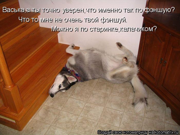 Васька,а ты точно уверен,что именно так по фэншую? Что то мне не очень твой фэншуй. Можно я по старин... Котоматрица: Васька,а ты точно уверен,что именно так по фэншую? Что то мне не очень твой фэншуй. Можно я по старинке,калачиком?