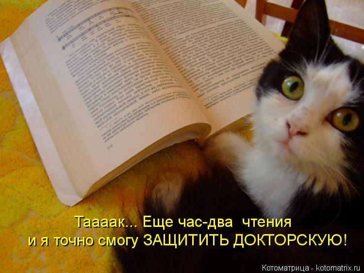 и я точно смогу ЗАЩИТИТЬ ДОКТОРСКУЮ! Таааак... Еще час-два чтения... Котоматрица: и я точно смогу ЗАЩИТИТЬ ДОКТОРСКУЮ! Таааак... Еще час-два чтения