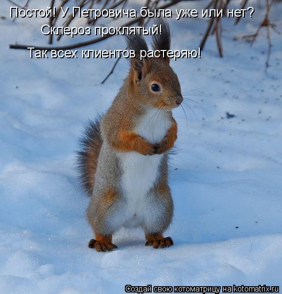 Котоматрица: Склероз проклятый! Так всех клиентов растеряю! Постой! У Петровича была уже или нет?