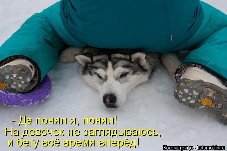 Котоматрица: - Да понял я, понял!  и бегу всё время вперёд! На девочек не заглядываюсь,