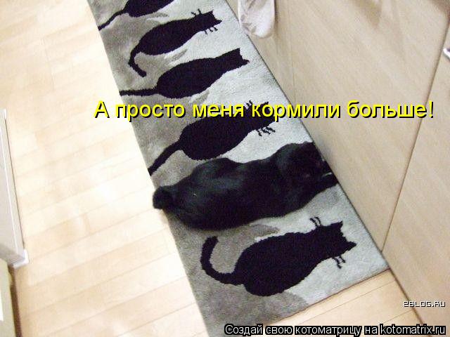 А просто меня кормили больше!... Котоматрица: А просто меня кормили больше!