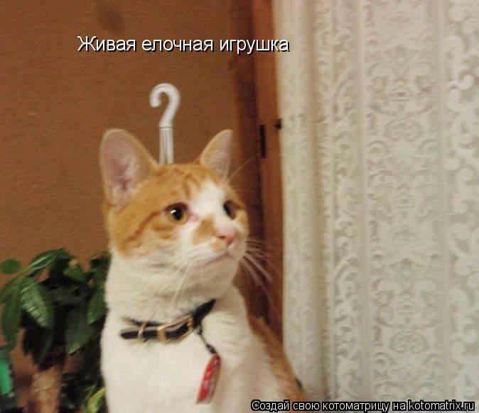 Котоматрица: Живая елочная игрушка