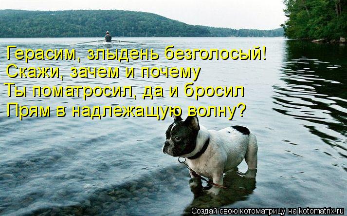 Котоматрица: Герасим, злыдень безголосый! Скажи, зачем и почему Ты поматросил, да и бросил Прям в надлежащую волну?