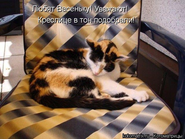 Котоматрица: Любят Васеньку! Креслице в тон подобрали! Уважают!