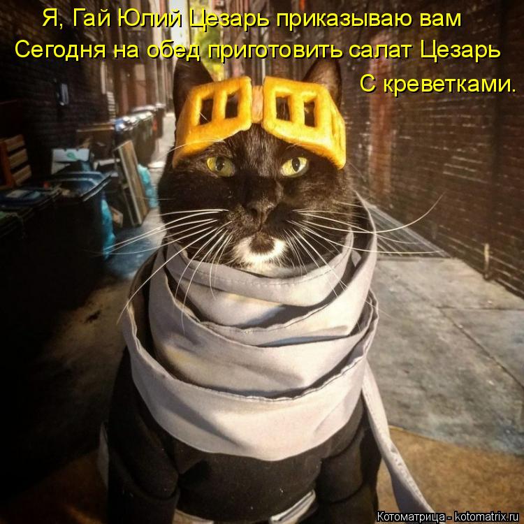 Я, Гай Юлий Цезарь приказываю вам Сегодня на обед приготовить салат Цезарь С креветками.... Котоматрица: Я, Гай Юлий Цезарь приказываю вам Сегодня на обед приготовить салат Цезарь С креветками.
