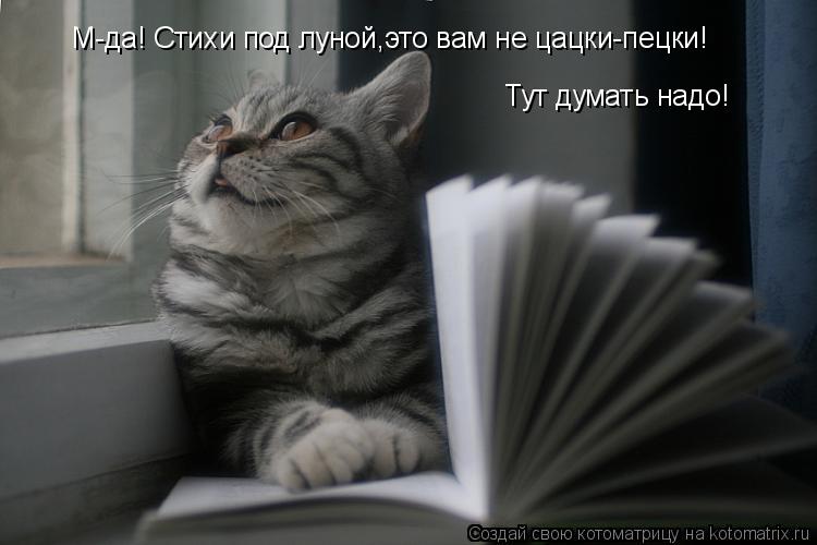 Котоматрица: М-да! Стихи под луной,это вам не цацки-пецки! Тут думать надо!