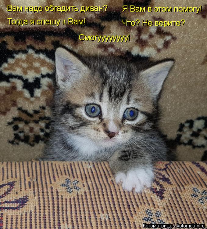 Вам надо обгадить диван? Тогда я спешу к Вам! Я Вам в этом помогу! Что? Не верите? Смогуууууууу!... Котоматрица: Вам надо обгадить диван? Тогда я спешу к Вам! Я Вам в этом помогу! Что? Не верите? Смогуууууууу!