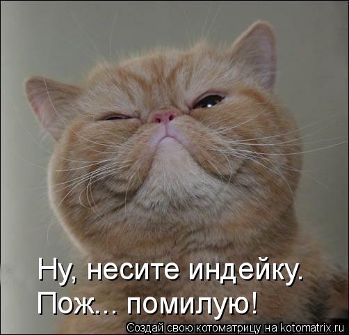 Ну, несите индейку. Пож... помилую!... Котоматрица: Ну, несите индейку. Пож... помилую!