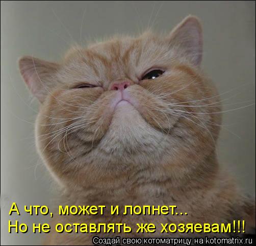 А что, может и лопнет... Но не оставлять же хозяевам!!!... Котоматрица: А что, может и лопнет... Но не оставлять же хозяевам!!!