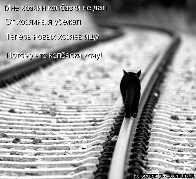 Мне хозяин колбаски не дал От хозяина я убежал Теперь новых хозяев ищу Потому что колбаски хочу!... Котоматрица: Мне хозяин колбаски не дал От хозяина я убежал Теперь новых хозяев ищу Потому что колбаски хочу!