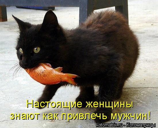 знают как привлечь мужчин! Настоящие женщины... Котоматрица: знают как привлечь мужчин! Настоящие женщины