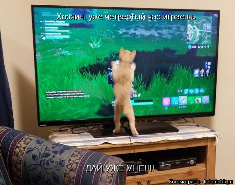 Хозяин, уже четвертый час играешь ДАЙ УЖЕ МНЕ!!!!... Котоматрица: Хозяин, уже четвертый час играешь ДАЙ УЖЕ МНЕ!!!!