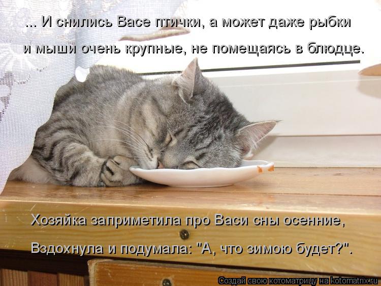 ... И снились Васе птички, а может даже рыбки и мыши очень крупные, не помещаясь в блюдце. Хозяйка за... Котоматрица: ... И снились Васе птички, а может даже рыбки и мыши очень крупные, не помещаясь в блюдце. Хозяйка заприметила про Васи сны осенние, Вздохнула