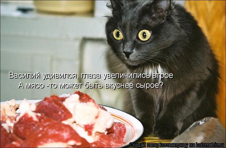 Василий удивился, глаза увеличились втрое А мясо -то может быть вкуснее сырое?... Котоматрица: Василий удивился, глаза увеличились втрое А мясо -то может быть вкуснее сырое?