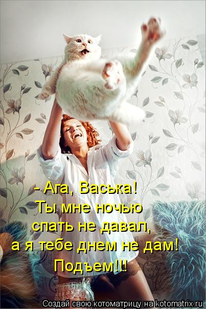 Котоматрица: - Ага, Васька! Ты мне ночью  спать не давал, а я тебе днем не дам! Подъем!!!