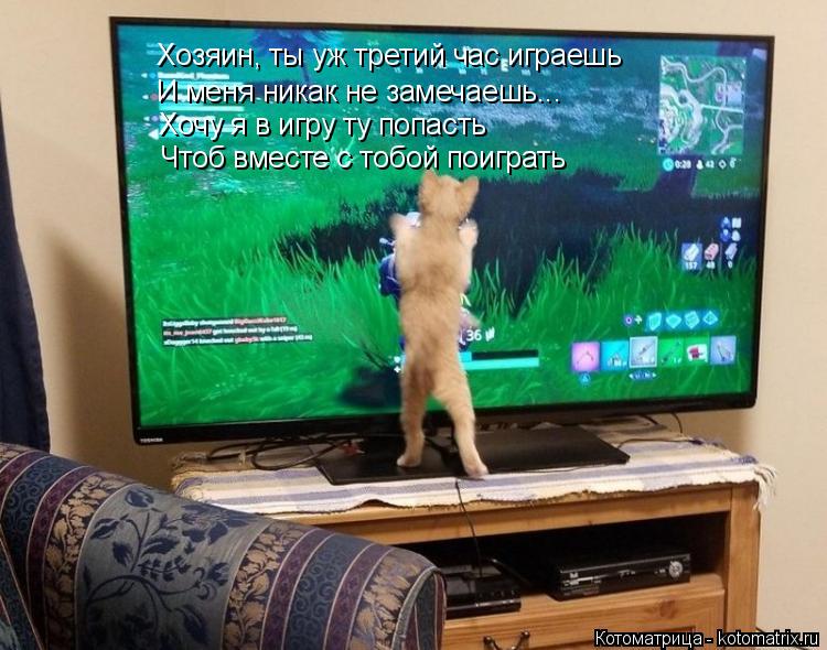 Хозяин, ты уж третий час играешь И меня никак не замечаешь... Хочу я в игру ту попасть Чтоб вместе с ... Котоматрица: Хозяин, ты уж третий час играешь И меня никак не замечаешь... Хочу я в игру ту попасть Чтоб вместе с тобой поиграть