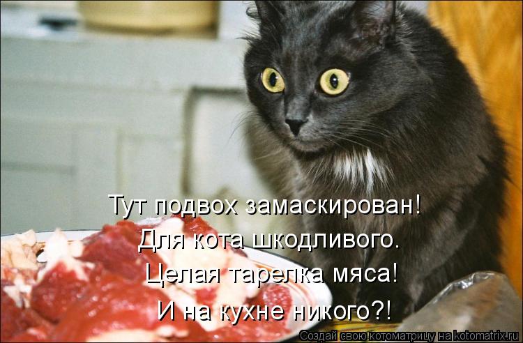 Целая тарелка мяса! Тут подвох замаскирован! Для кота шкодливого. И на кухне никого?!... Котоматрица: Целая тарелка мяса! Тут подвох замаскирован! Для кота шкодливого. И на кухне никого?!