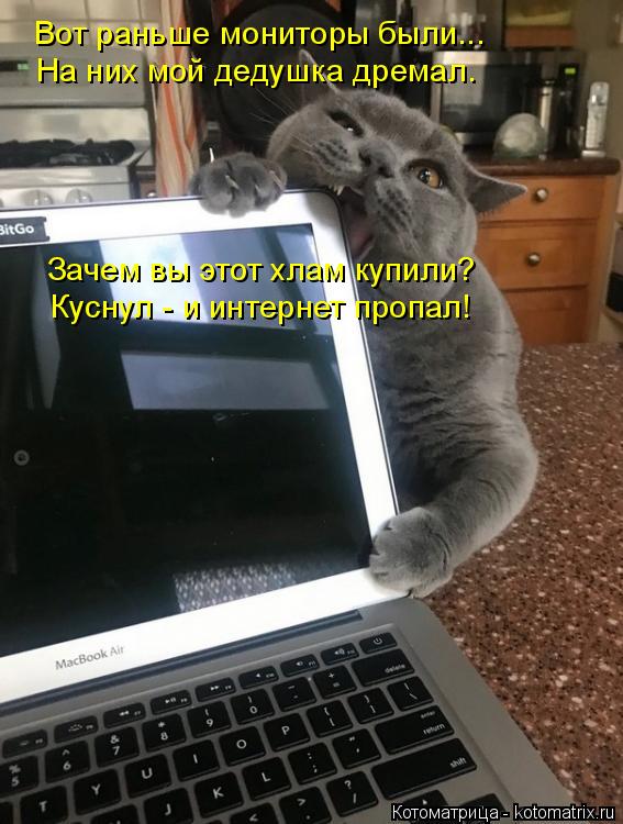 Вот раньше мониторы были... На них мой дедушка дремал. Зачем вы этот хлам купили? Куснул - и интернет... Котоматрица: Вот раньше мониторы были... На них мой дедушка дремал. Зачем вы этот хлам купили? Куснул - и интернет пропал!