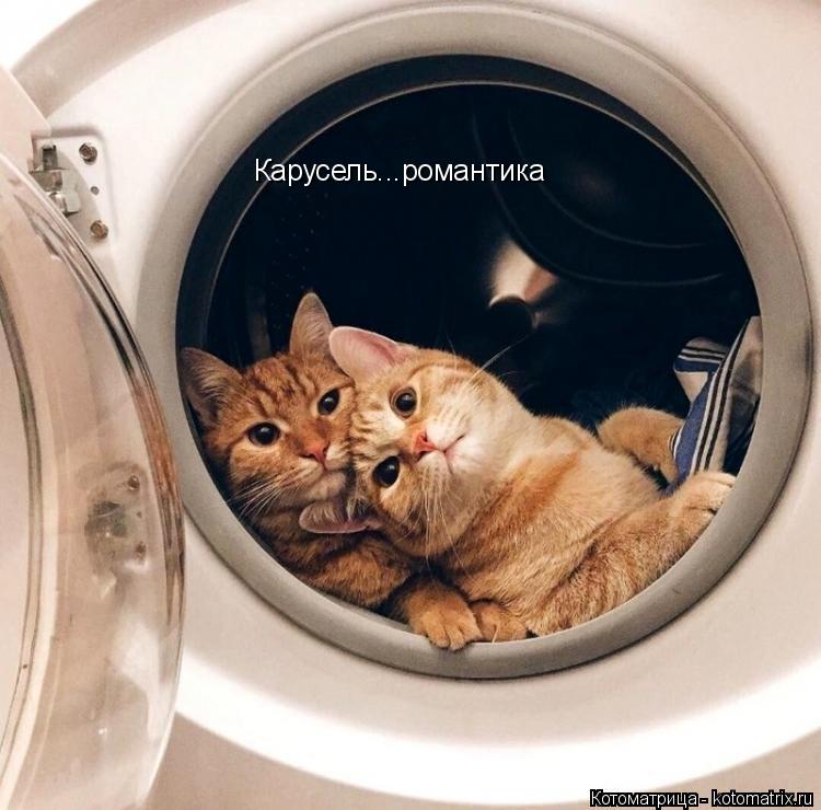Карусель...романтика... Котоматрица: Карусель...романтика
