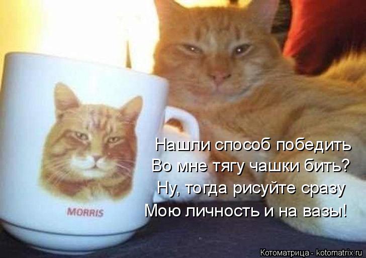 Нашли способ победить Во мне тягу чашки бить? Ну, тогда рисуйте сразу Мою личность и на вазы!... Котоматрица: Нашли способ победить Во мне тягу чашки бить? Ну, тогда рисуйте сразу Мою личность и на вазы!
