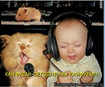 КАЙФУЕМ! СЕГОДНЯ МЫ КАЙФУЕМ!!!... Котоматрица: КАЙФУЕМ! СЕГОДНЯ МЫ КАЙФУЕМ!!!