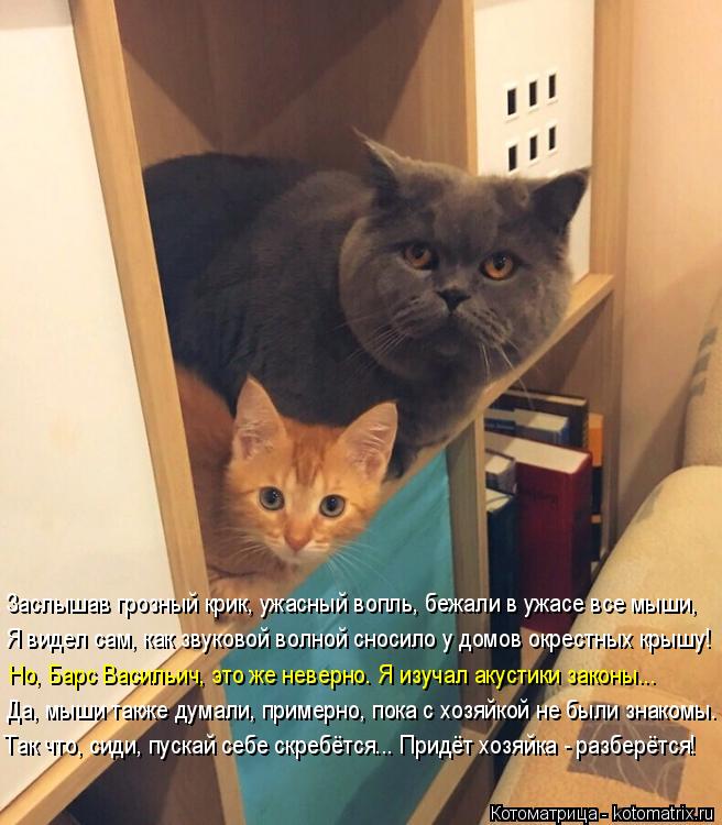 Заслышав грозный крик, ужасный вопль, бежали в ужасе все мыши, Я видел сам, как звуковой волной сноси... Котоматрица: Заслышав грозный крик, ужасный вопль, бежали в ужасе все мыши, Я видел сам, как звуковой волной сносило у домов окрестных крышу! Да, мыши такж